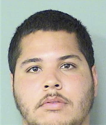 Leonardo Lopez-Mendez, - Palm Beach County, FL 